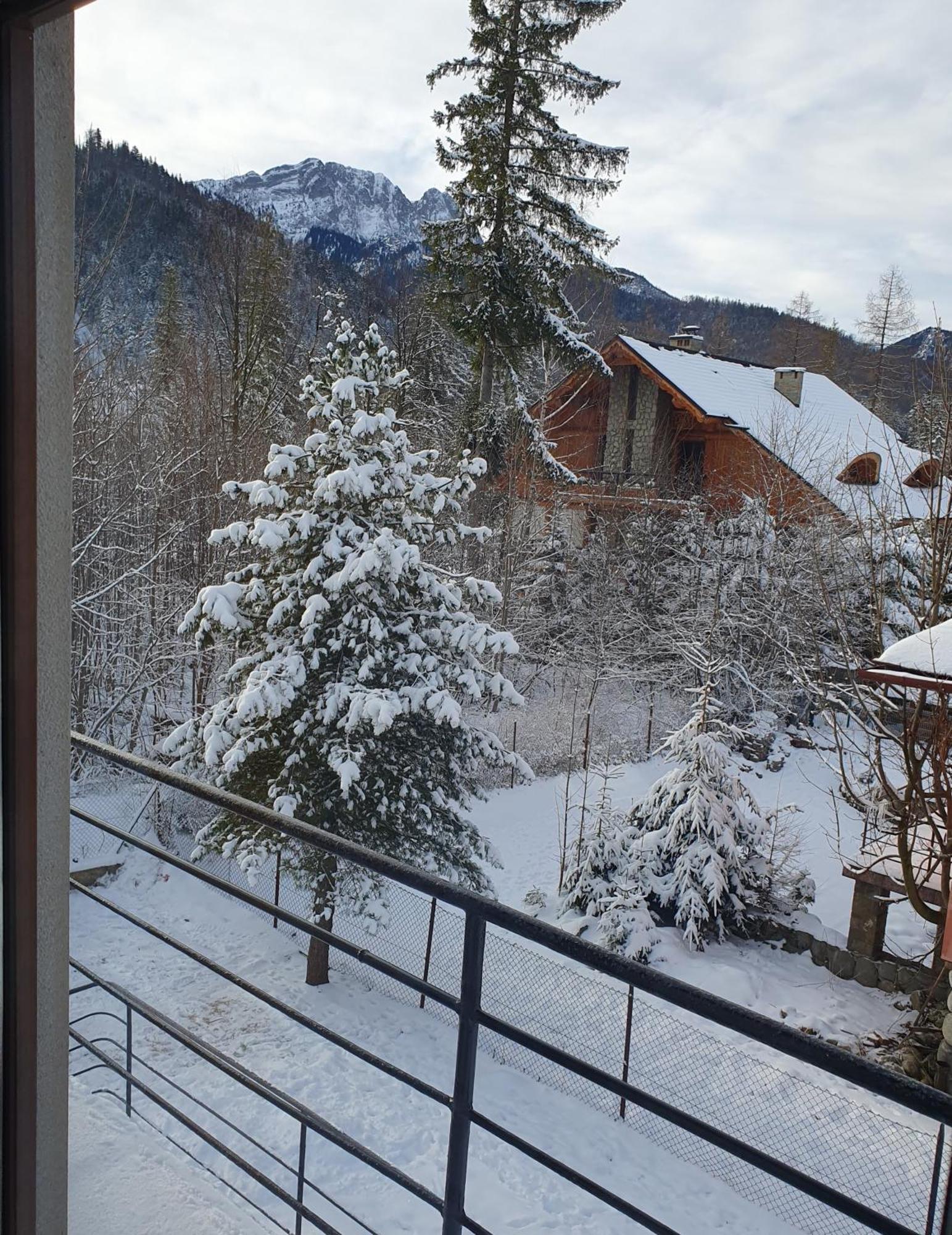 Asteria Apartment Zakopane Phòng bức ảnh
